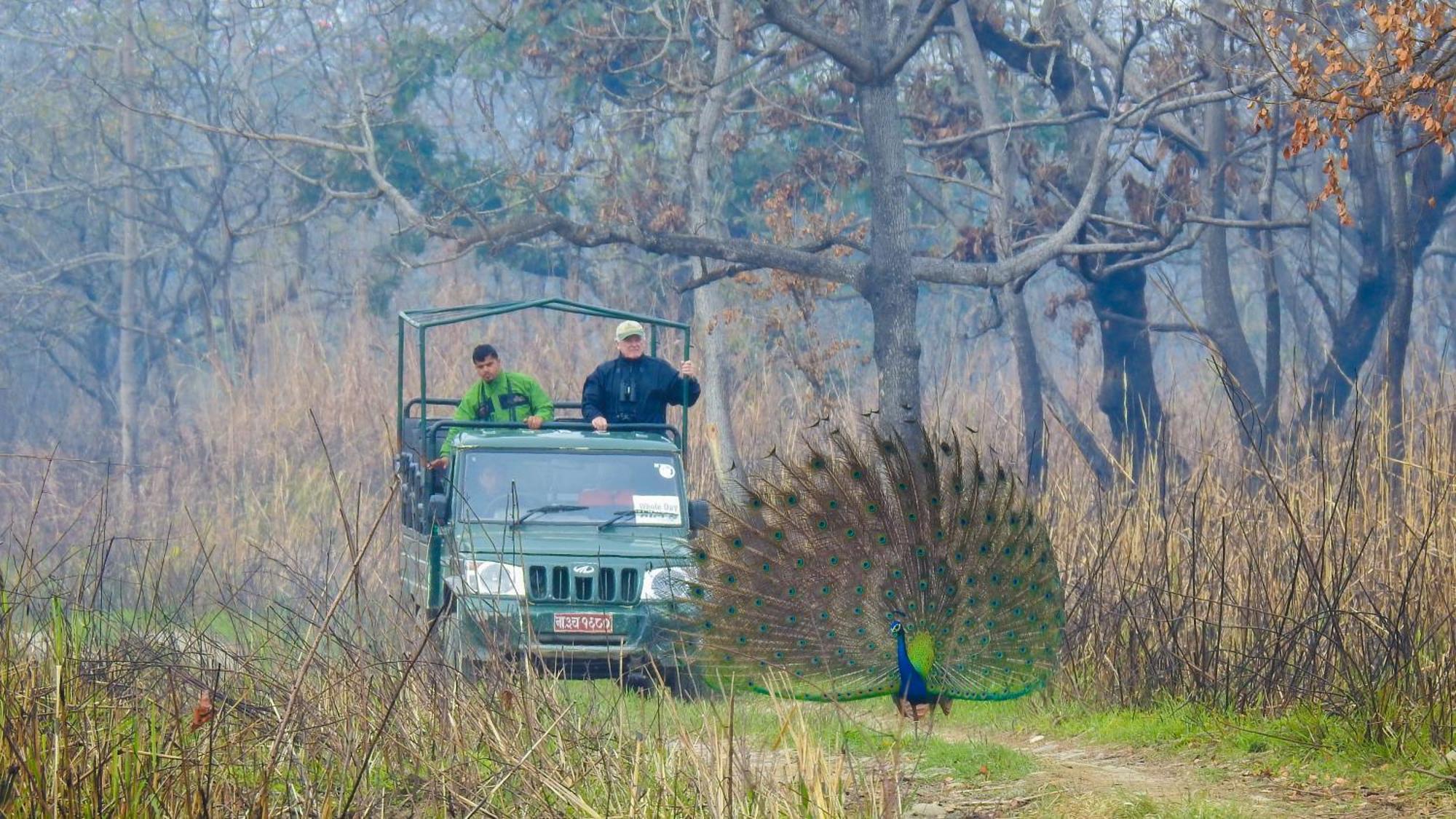 Sapana Village Lodge Sauraha Zewnętrze zdjęcie