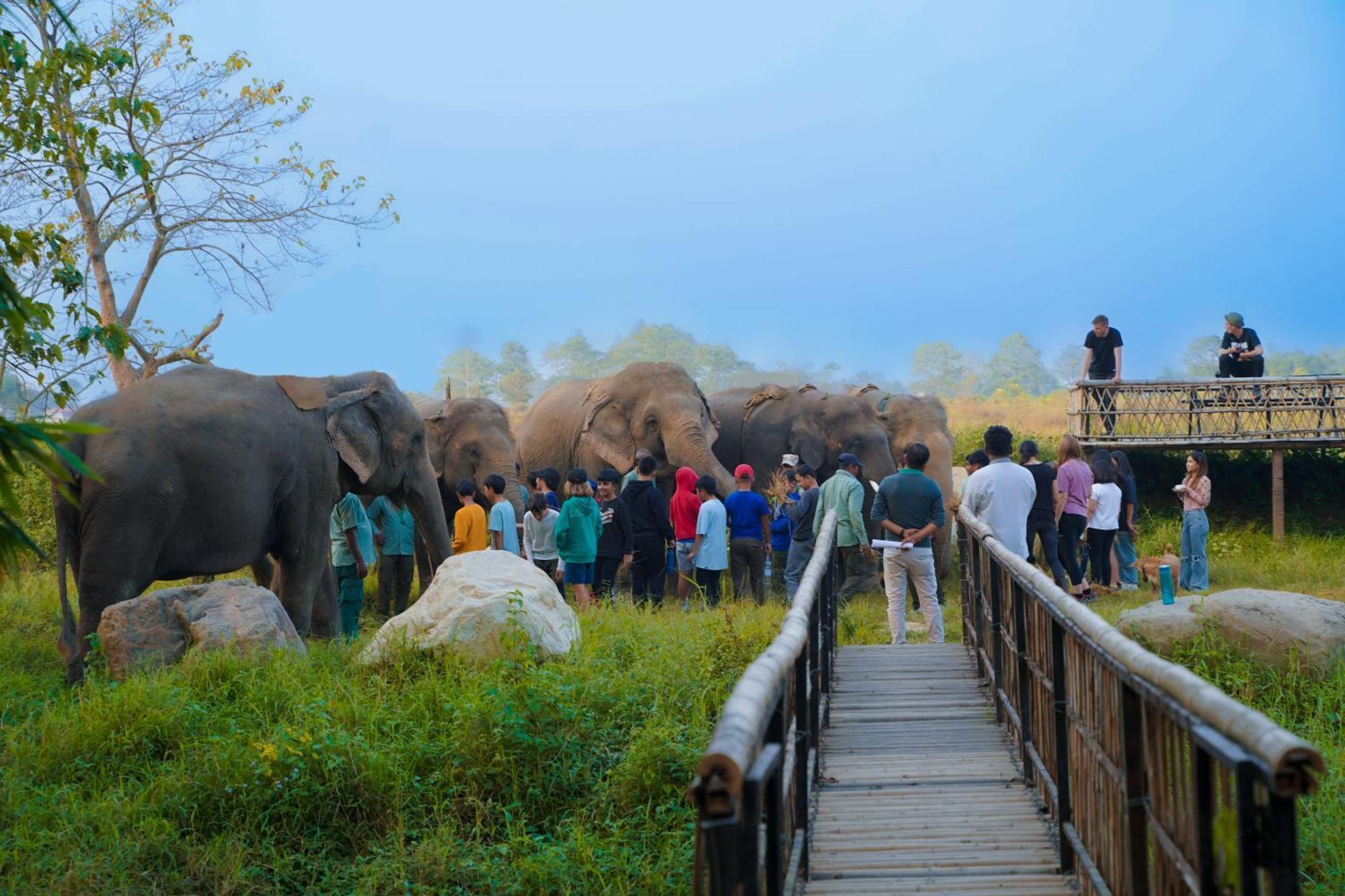 Sapana Village Lodge Sauraha Zewnętrze zdjęcie