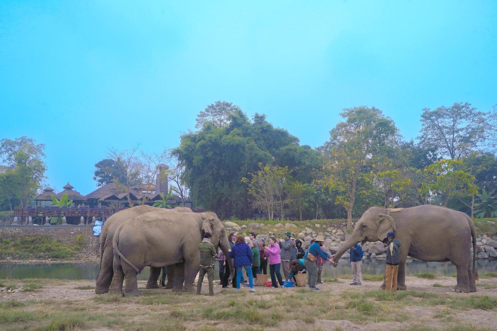 Sapana Village Lodge Sauraha Zewnętrze zdjęcie