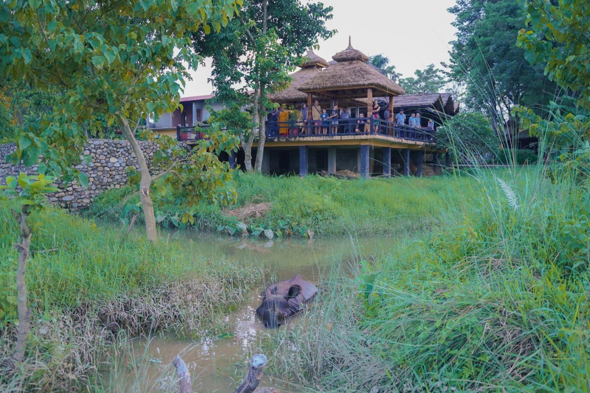 Sapana Village Lodge Sauraha Zewnętrze zdjęcie